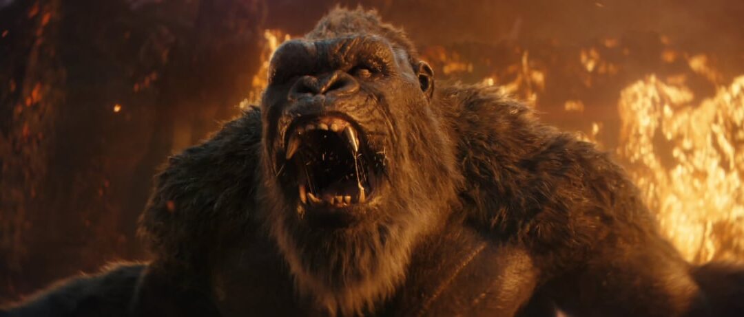 Godzilla e Kong – Il Nuovo Impero, ancora primo al box office USA, vola a 135 milioni | Movieplayer.it | Under-Art.it