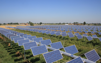 Pannelli solari sui terreni agricoli, braccio di ferro tra Lollobrigida e Pichetto Fratin | IlSole24ore